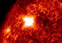 Major X1-Class Solar Flare unleashed from Active Region 14366 | Feb 1, 2026